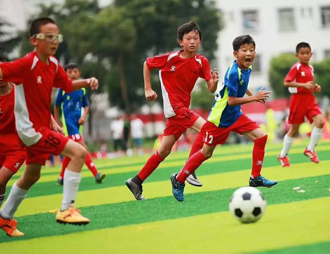 奥地利VS突尼斯直播_奥地利VS突尼斯免费直播在线直播 奥地利VS突尼斯直播_奥地利VS突尼斯免费直播在线直播